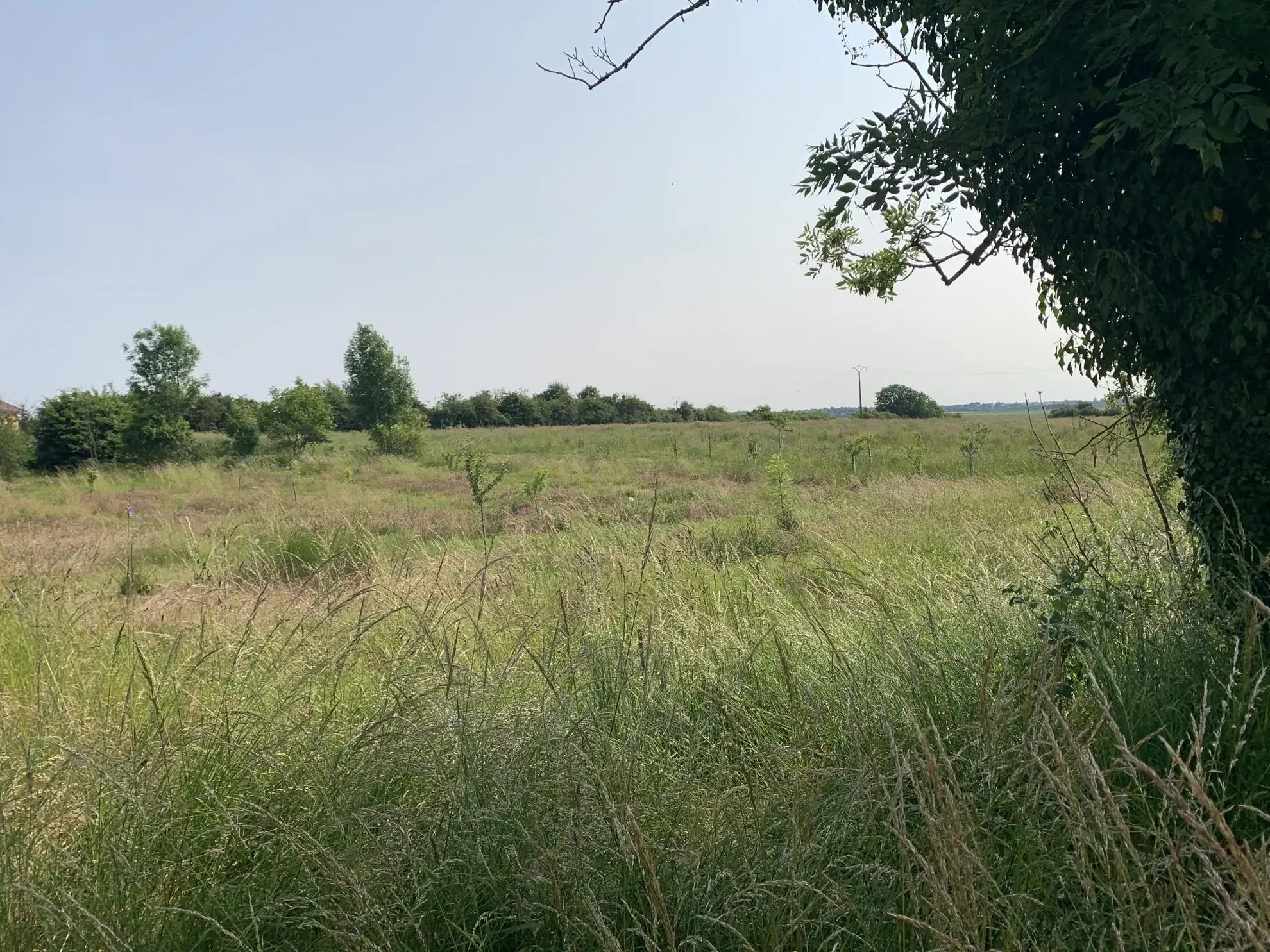 Terrain constructible à vendre à Prenois, proche Dijon avec permis purgé 