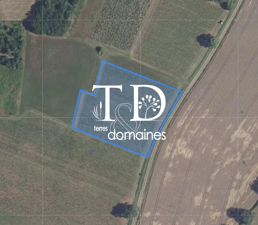 Terrains viticoles à vendre à Châteaumeillant en Centre-Val de Loire 