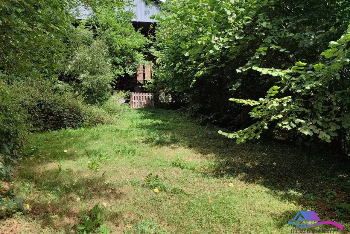 jardin Maison de campagne à rénover avec jardin, calme proche Boussac et Sainte-Sévère-sur-Indre 