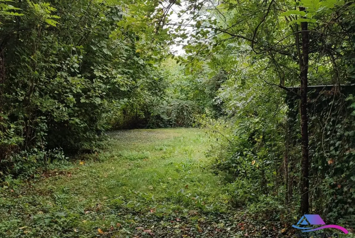 jardin Maison de campagne à rénover avec jardin, calme proche Boussac et Sainte-Sévère-sur-Indre 