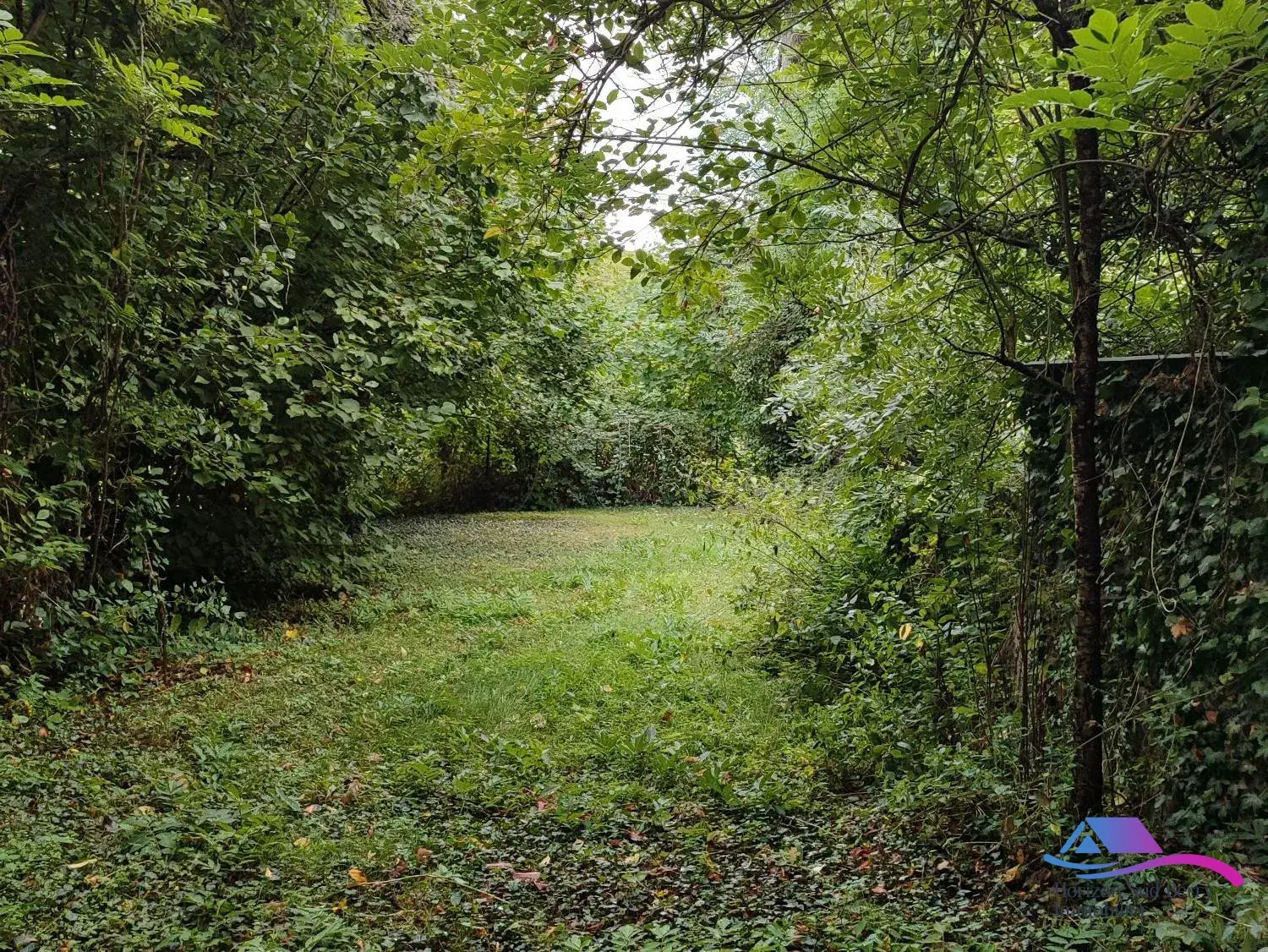 jardin Maison de campagne à rénover avec jardin, calme proche Boussac et Sainte-Sévère-sur-Indre 