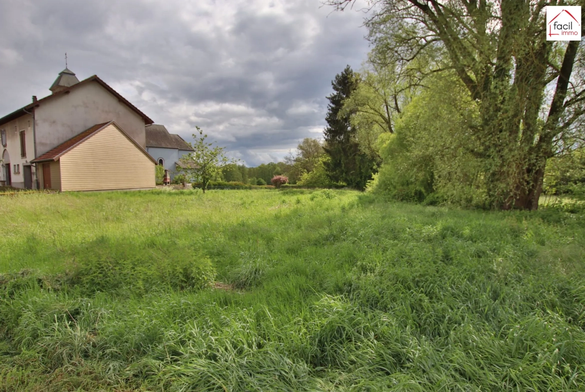Terrain constructible de 14 ares dans un village calme près de Sarrebourg et Dieuze 