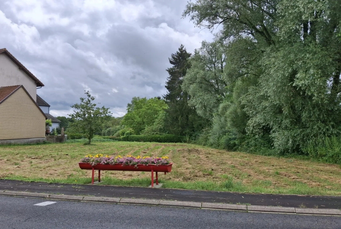 Terrain constructible de 14 ares dans un village calme près de Sarrebourg et Dieuze 