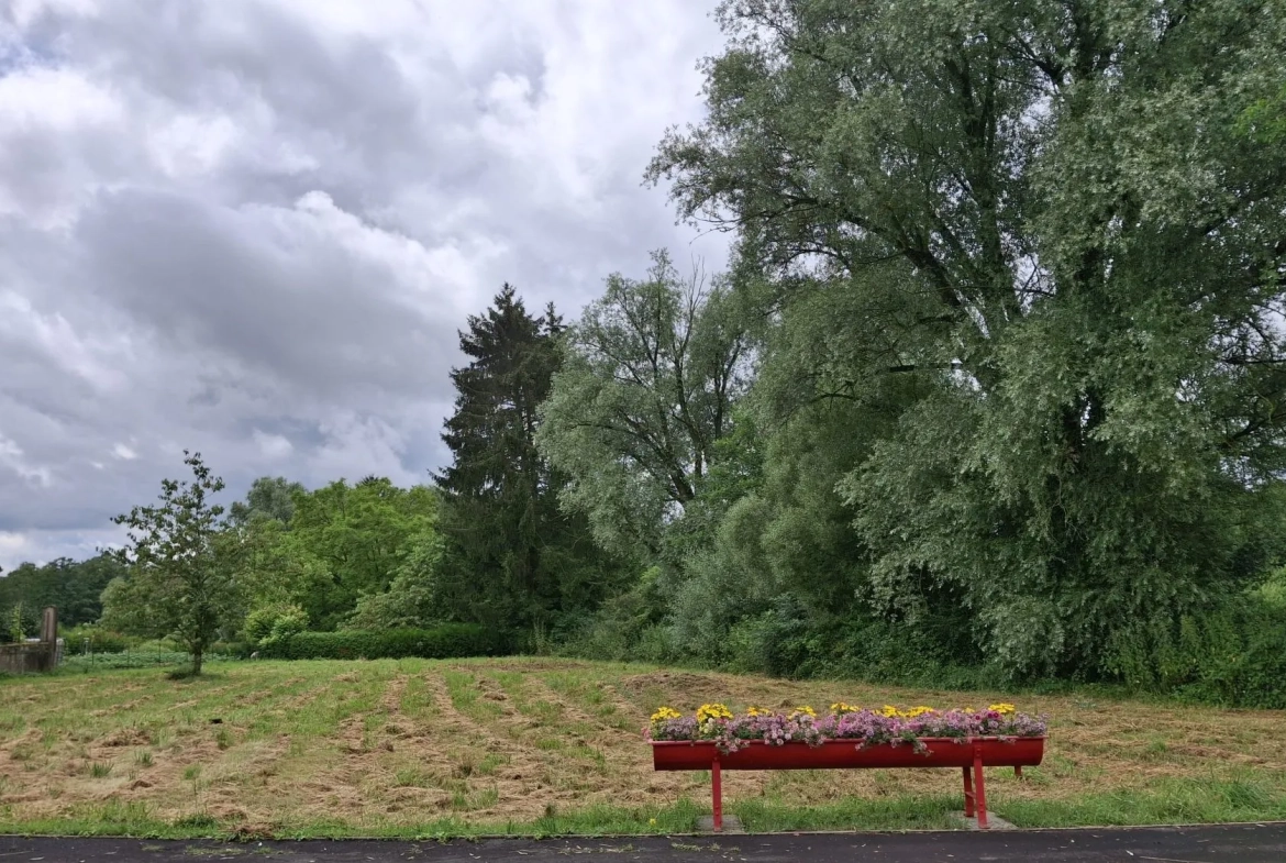 Terrain constructible de 14 ares dans un village calme près de Sarrebourg et Dieuze 