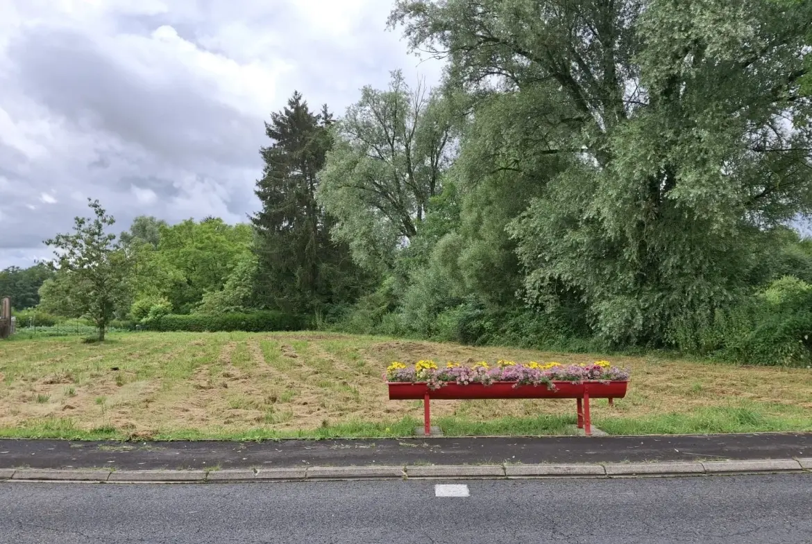 Terrain constructible de 14 ares dans un village calme près de Sarrebourg et Dieuze 
