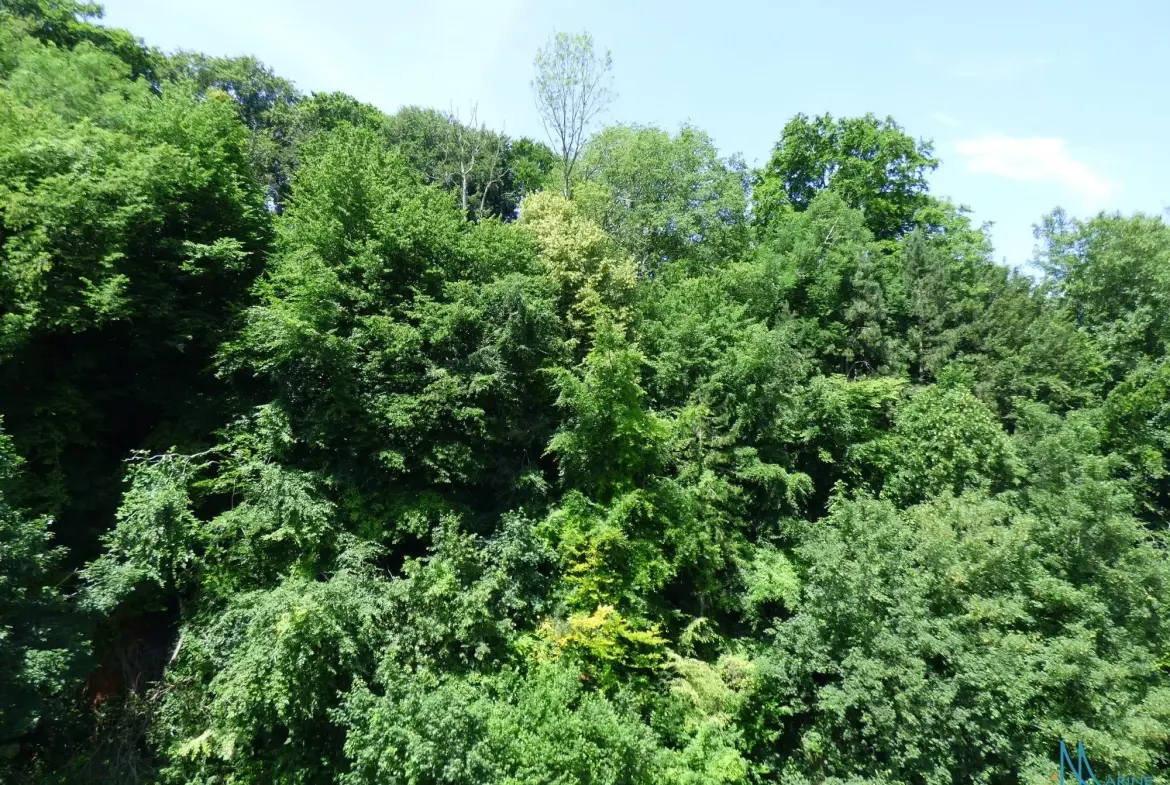 Appartement 3 pièces lumineux proche Dieppe avec garage et cave 