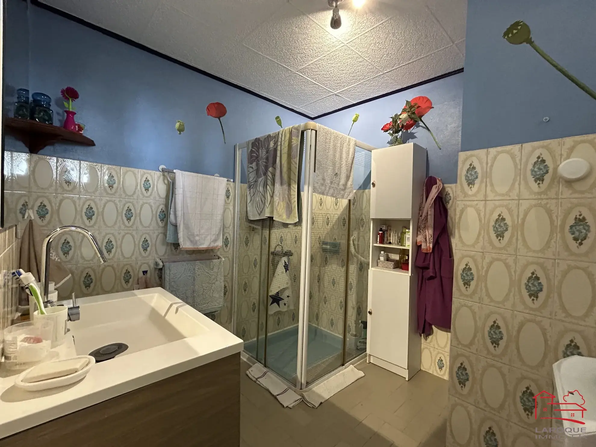 Maison individuelle avec jardin, dépendances et garage à Saint-Robert 47340 
