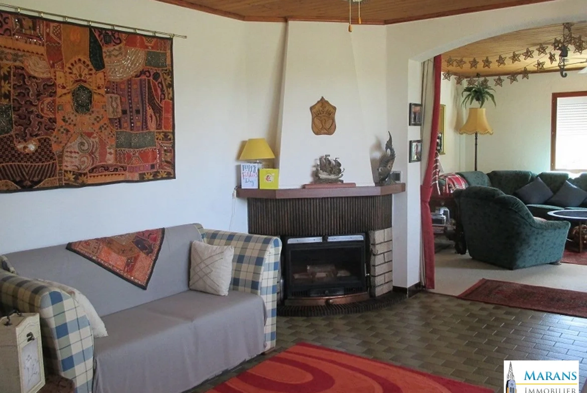 Double salon/Séjour cheminée insert et poêle à bois Vente d’un ensemble immobilier de deux maisons avec piscine à Sableau 