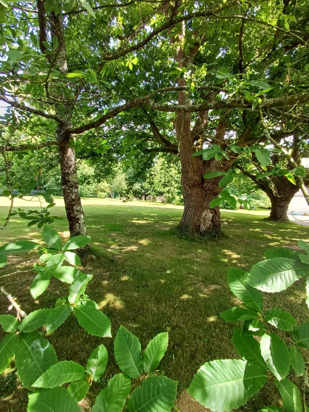 Terrain constructible arboré à Fégréac de 942 m² - Opportunité à saisir 