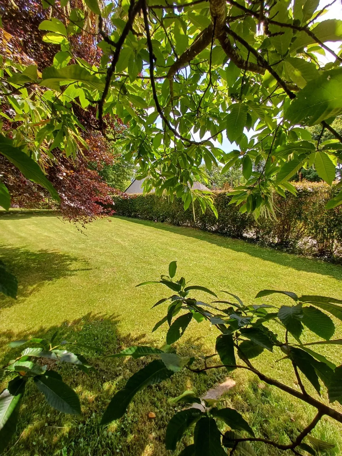 Terrain constructible arboré à Fégréac de 942 m² - Opportunité à saisir 