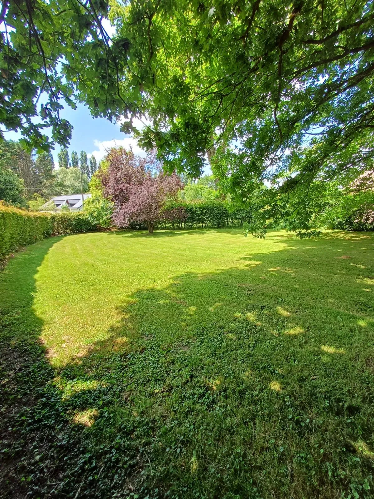 Terrain constructible arboré à Fégréac de 942 m² - Opportunité à saisir 
