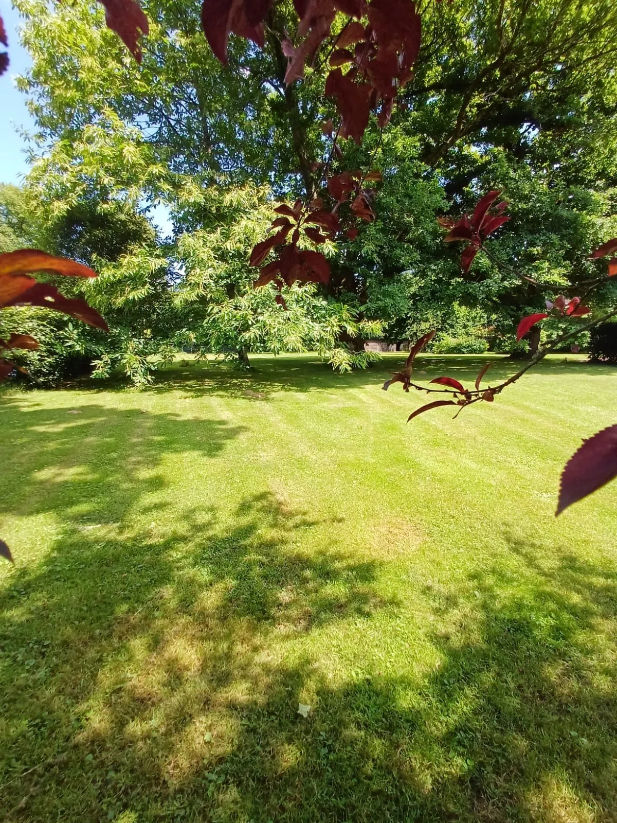 Terrain constructible arboré à Fégréac de 942 m² - Opportunité à saisir 