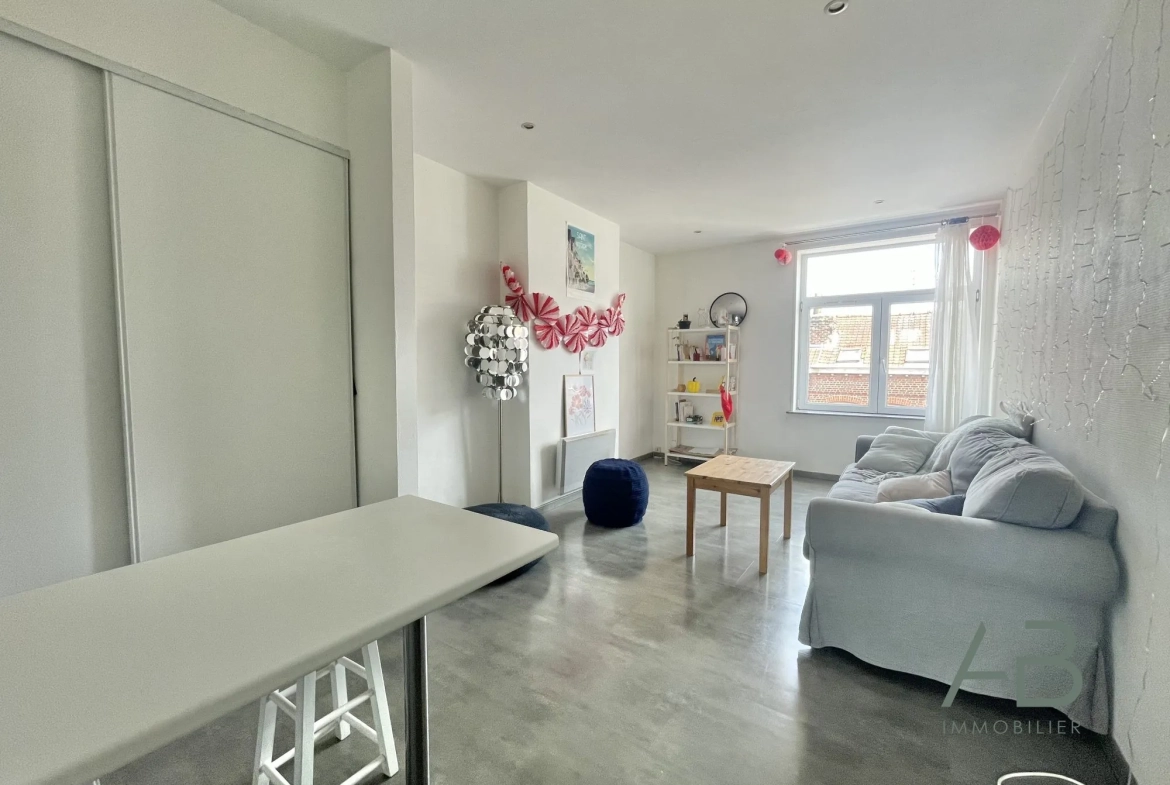 Bel appartement duplex T3 à Lille proche de la Faculté de Droit 