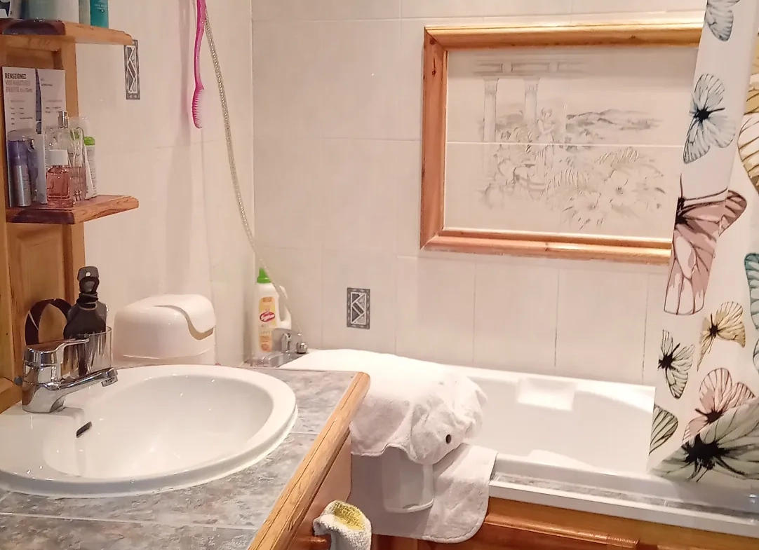 Appartement T4 à Millau avec 3 chambres et emplacement central 