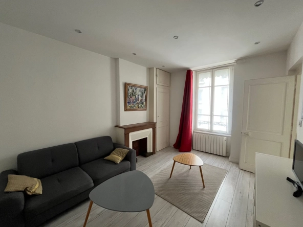 Appartement Type 2 à Lyon 7e - Lumineux et idéal pour primo-accédants ou investisseurs