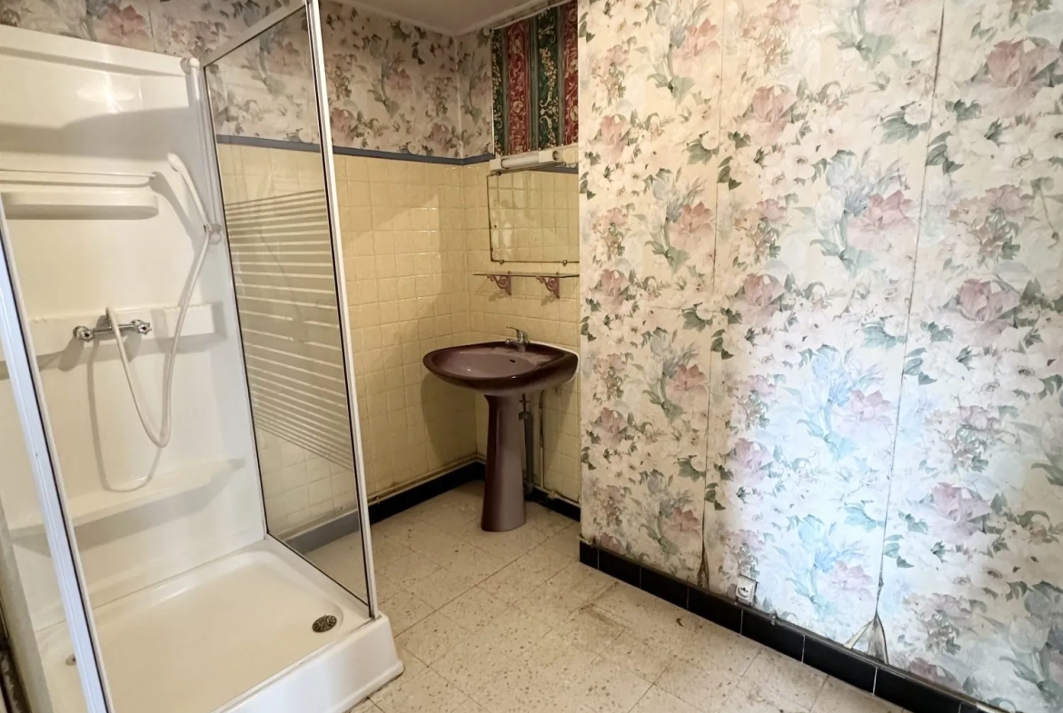 Maison champenoise à rénover avec 4 chambres et grand jardin à Saint-Remy-en-Bouzemont 
