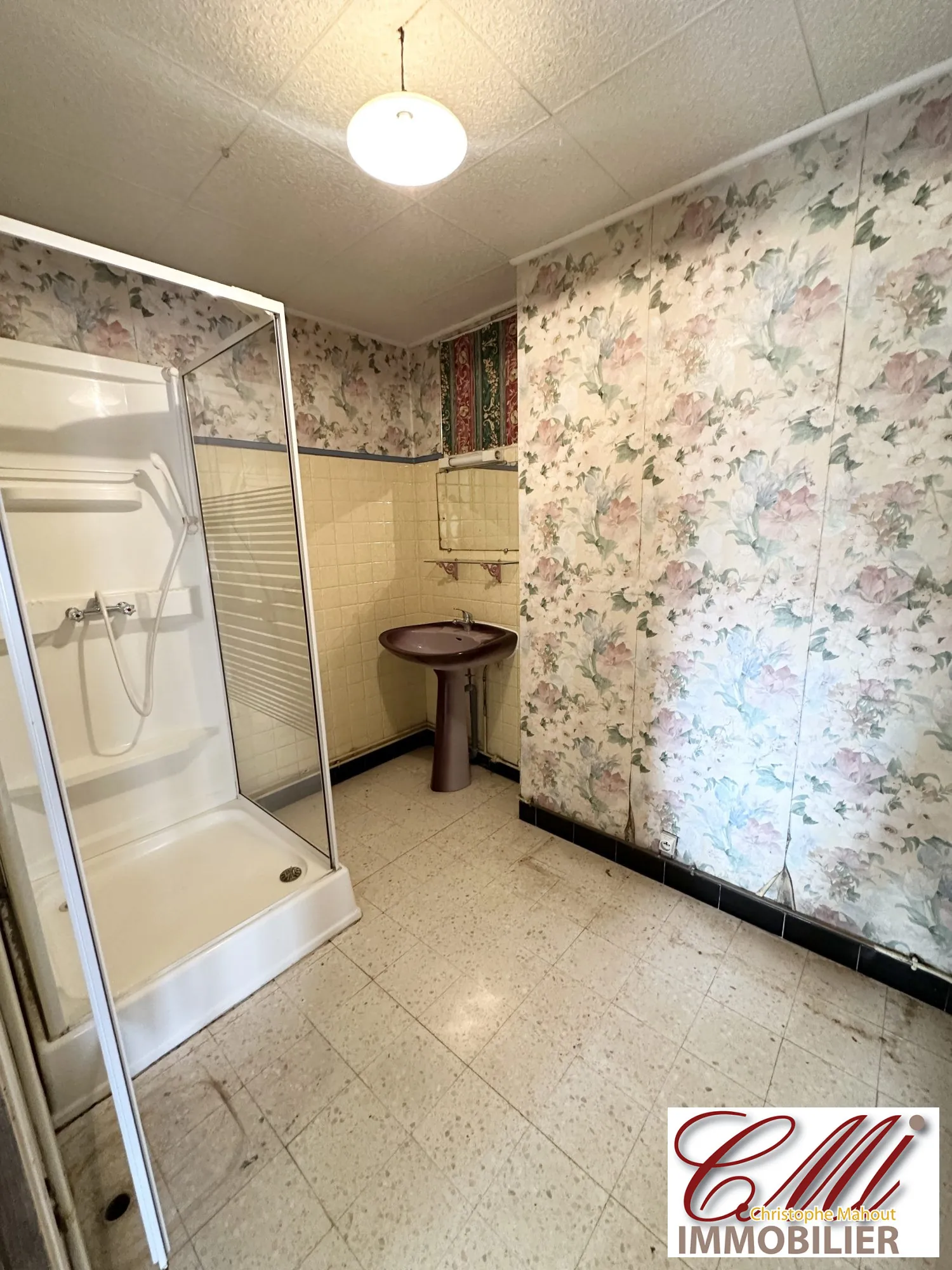 Maison champenoise à rénover avec 4 chambres et grand jardin à Saint-Remy-en-Bouzemont 