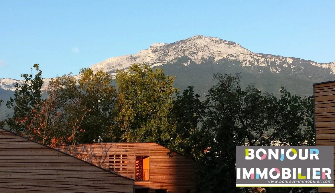 Vue Montagne Appartement 3 pièces avec terrasse à Grenoble - Dernier étage, calme et lumineux 