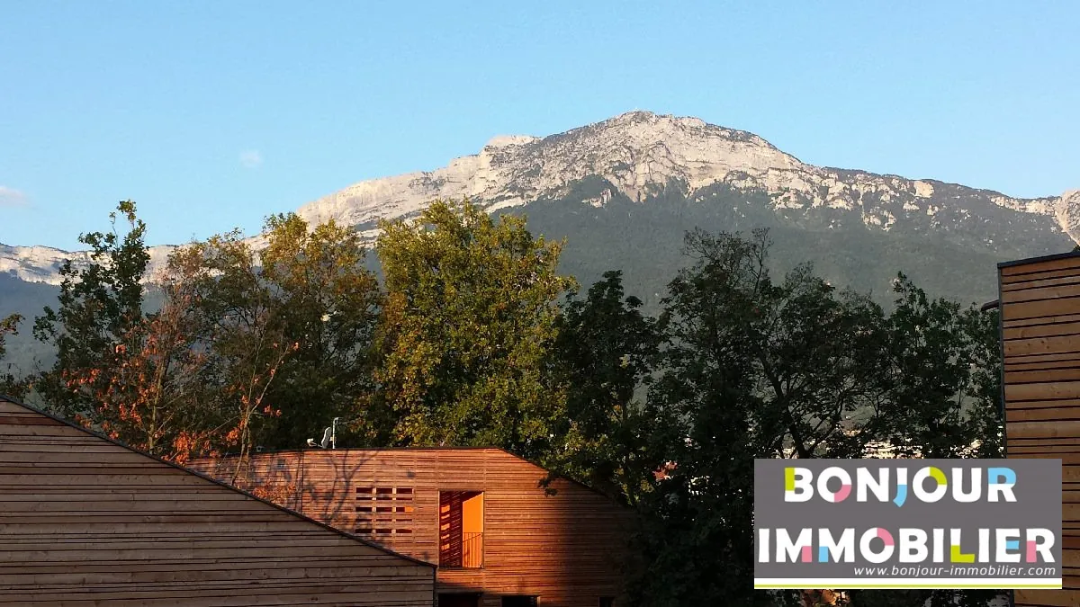 Vue Montagne Appartement 3 pièces avec terrasse à Grenoble - Dernier étage, calme et lumineux 