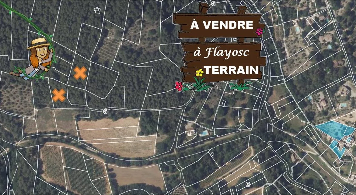 Lot de 2 terrains boisés non constructibles à Flayosc - Parcelles en zone agricole et naturelle 