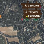 Lot de 2 terrains boisés non constructibles à Flayosc - Parcelles en zone agricole et naturelle