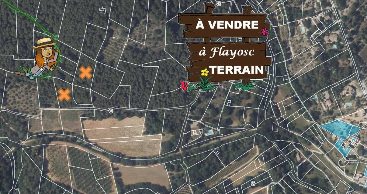 Lot de 2 terrains boisés non constructibles à Flayosc - Parcelles en zone agricole et naturelle 