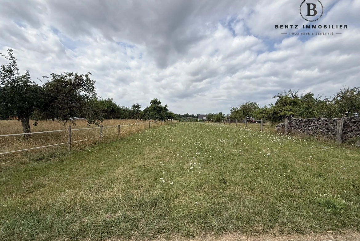 Arrière parcelle Terrain constructible de 24,05 ares à Asswiller, environnement calme et idéal pour votre projet immobilier 