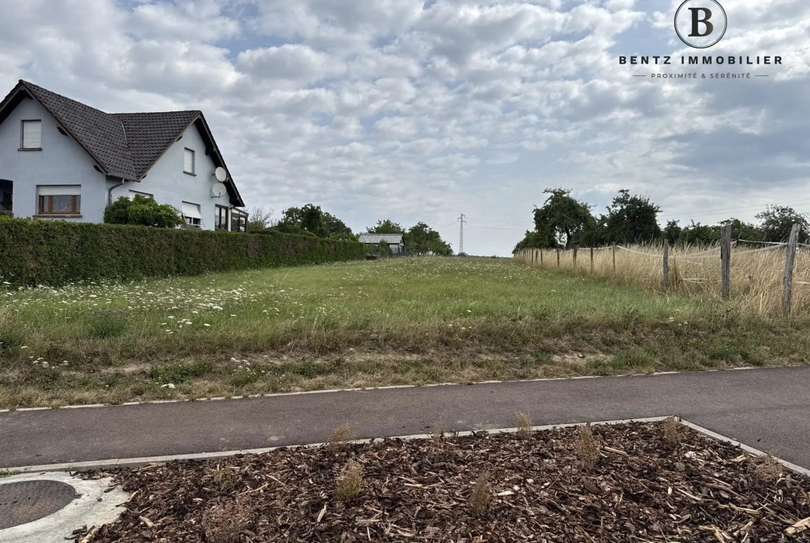 Entrée parcelle rue de Durstel Terrain constructible de 24,05 ares à Asswiller, environnement calme et idéal pour votre projet immobilier 