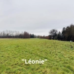 Terrain à bâtir en lotissement à Saint-Martin de Mieux - Investissement idéal