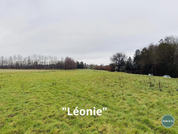 Terrain à bâtir en lotissement à Saint-Martin de Mieux - Investissement idéal