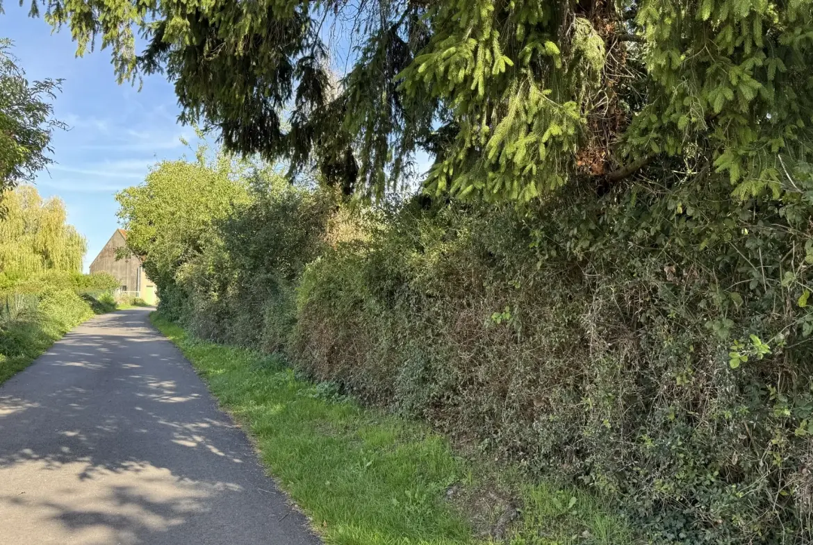 Maison à rénover à Montillot (89) avec grand terrain de 1387 m² 