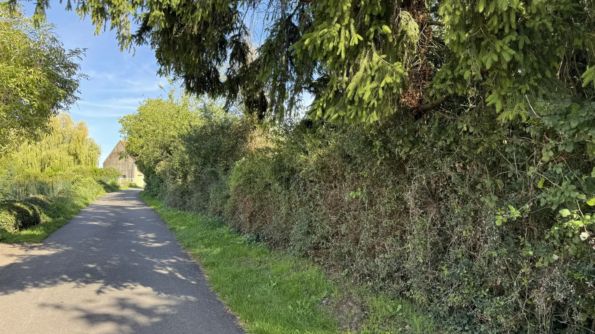 Maison à rénover à Montillot (89) avec grand terrain de 1387 m² 
