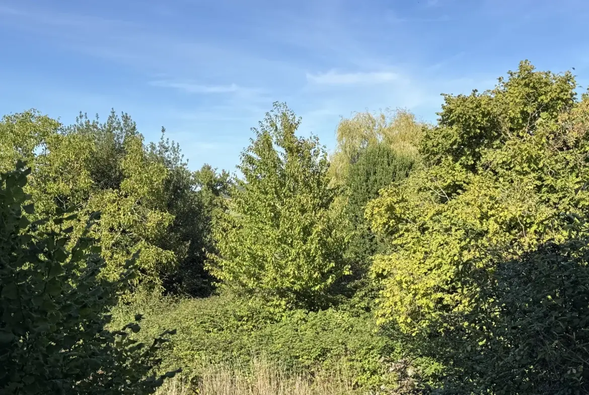 Maison à rénover à Montillot (89) avec grand terrain de 1387 m² 