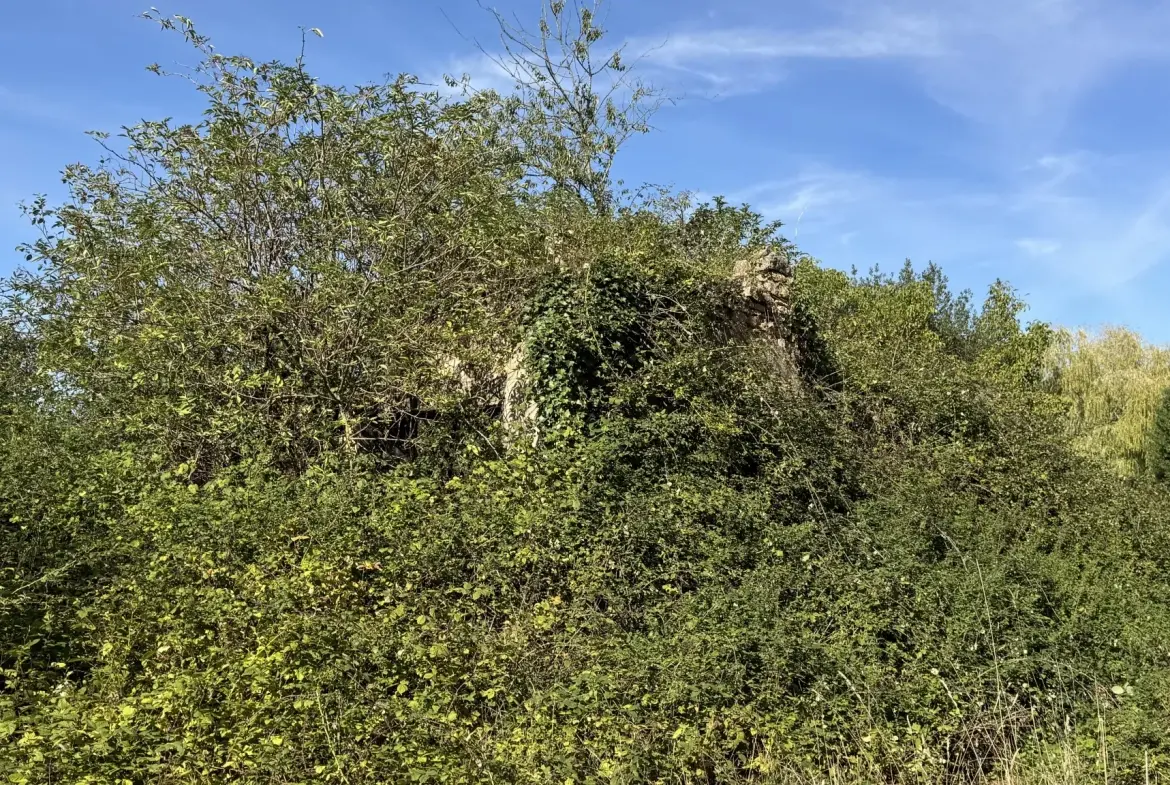 Maison à rénover à Montillot (89) avec grand terrain de 1387 m² 