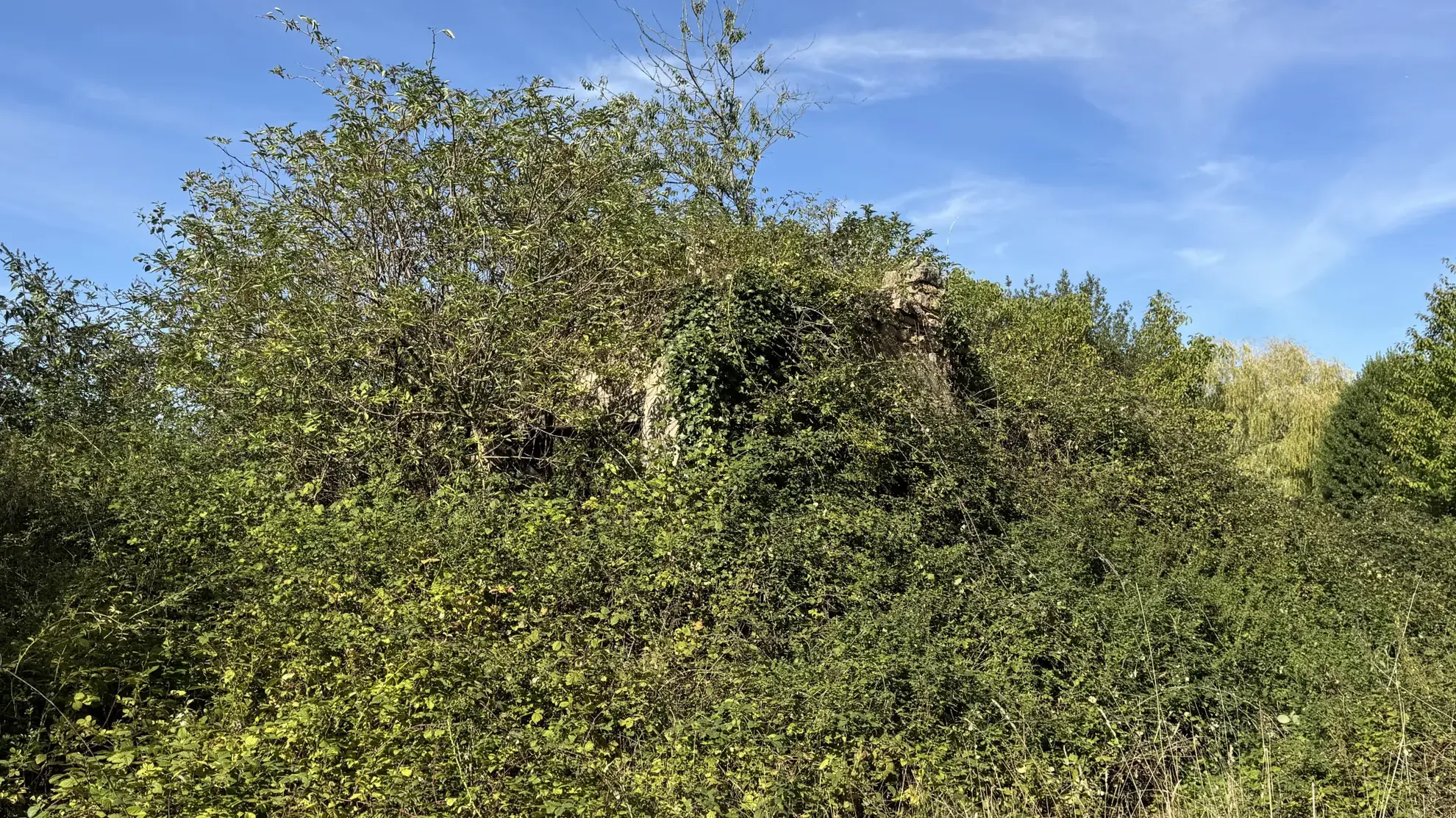 Maison à rénover à Montillot (89) avec grand terrain de 1387 m² 