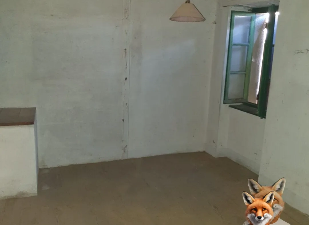 Petite maison de bourg à rénover avec garage à Bellevue-la-Montagne 