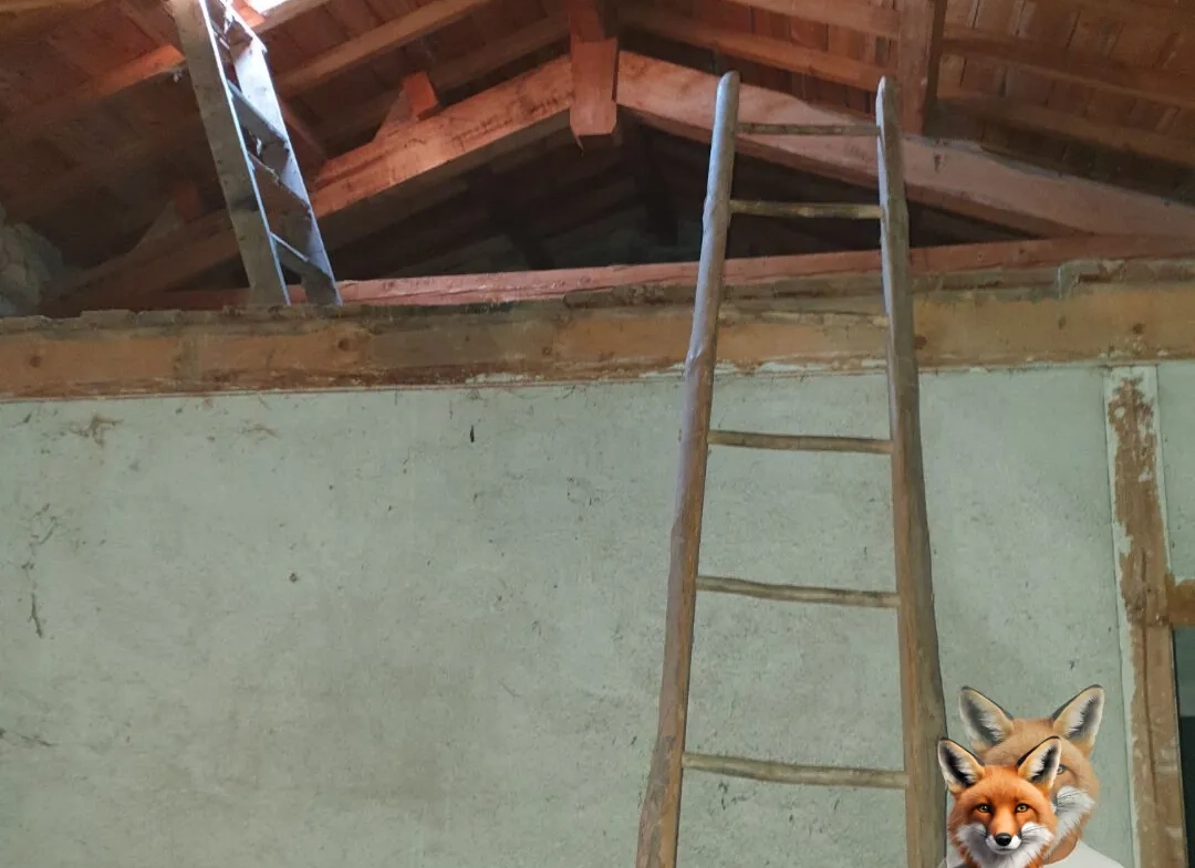 Petite maison de bourg à rénover avec garage à Bellevue-la-Montagne 