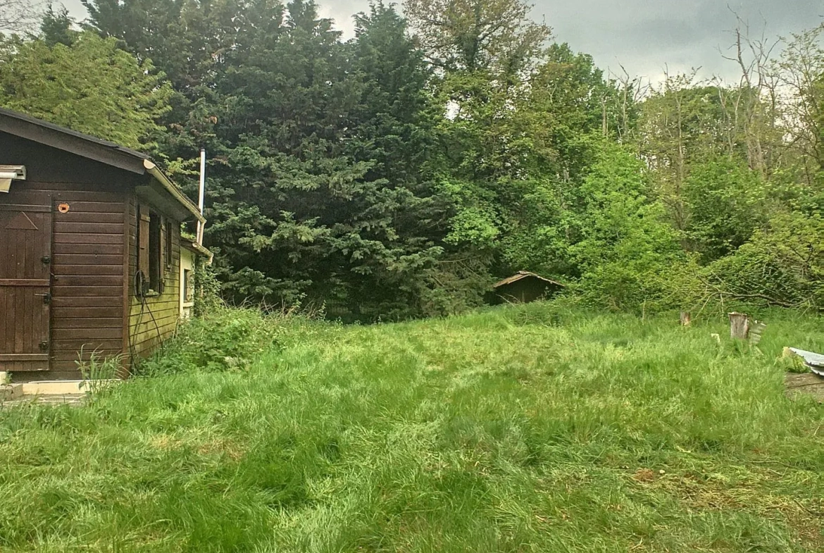 Terrain boisé à vendre à Pressigny-Les-Pins avec potentiel élevage et activités 