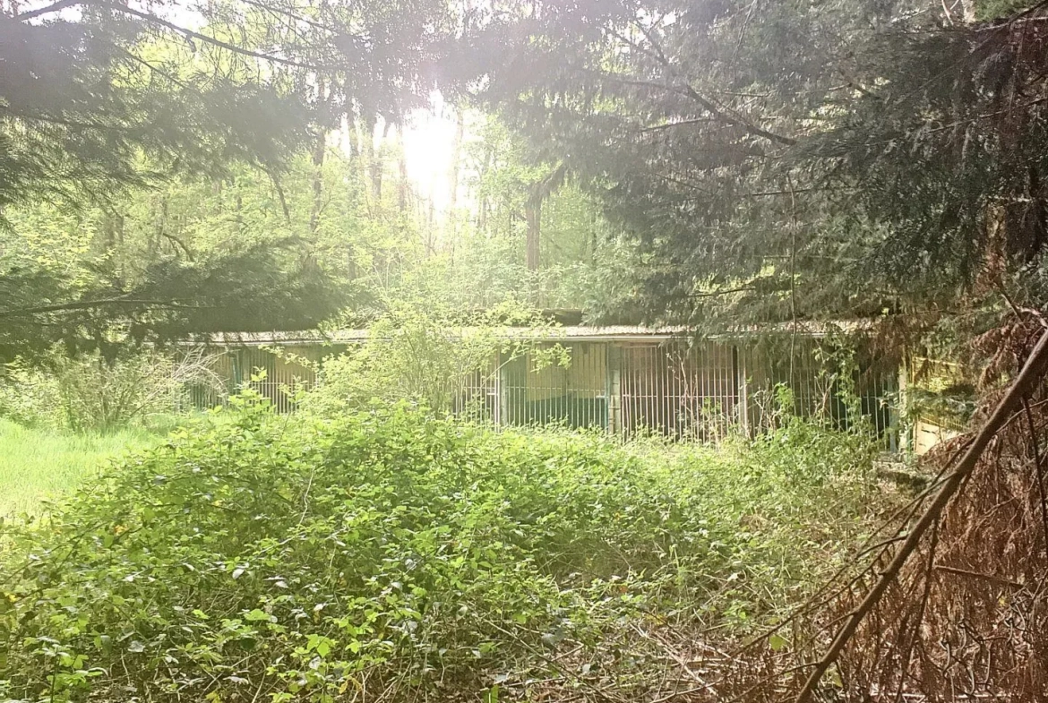 Terrain boisé à vendre à Pressigny-Les-Pins avec potentiel élevage et activités 