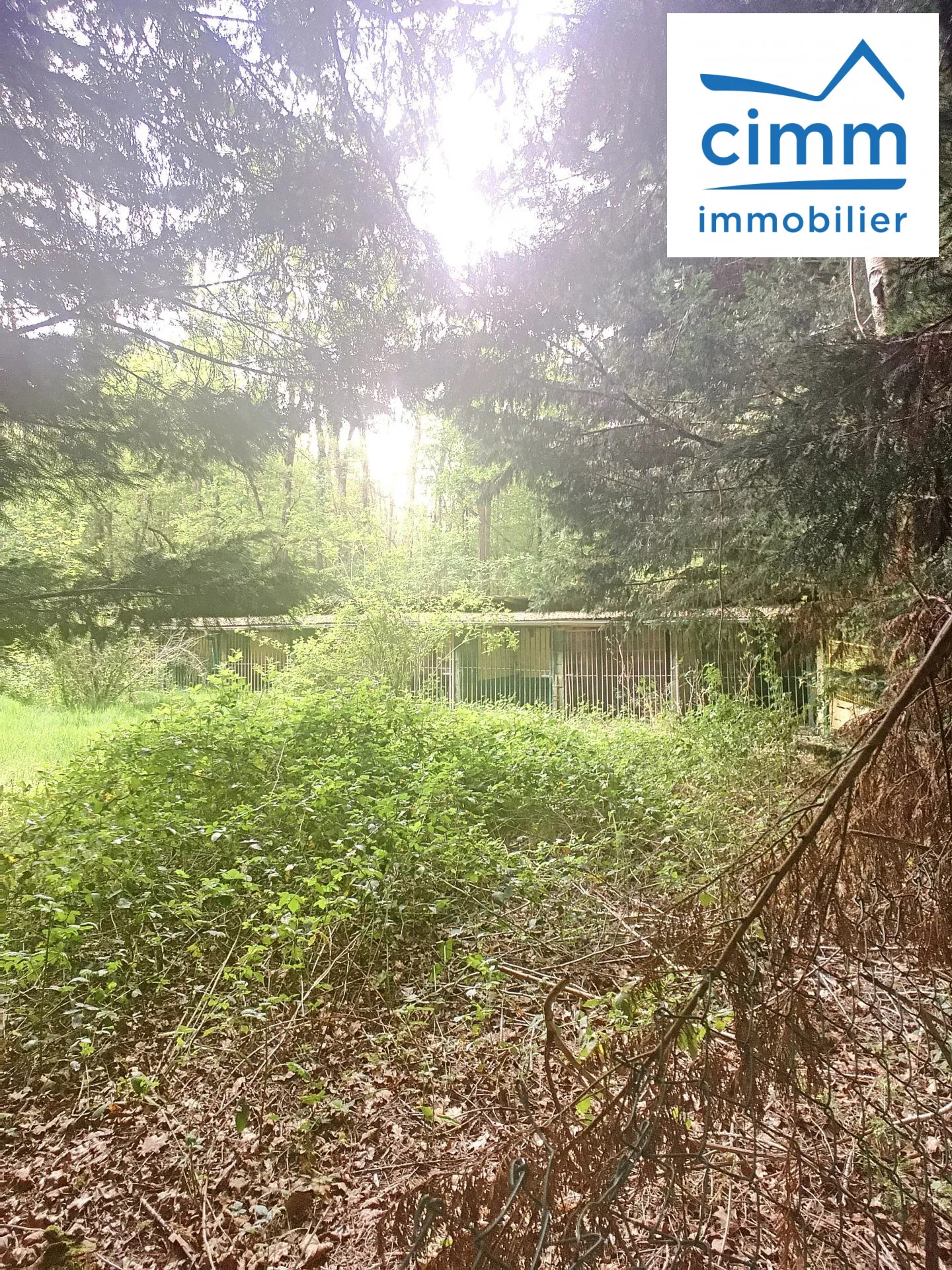 Terrain boisé à vendre à Pressigny-Les-Pins avec potentiel élevage et activités 
