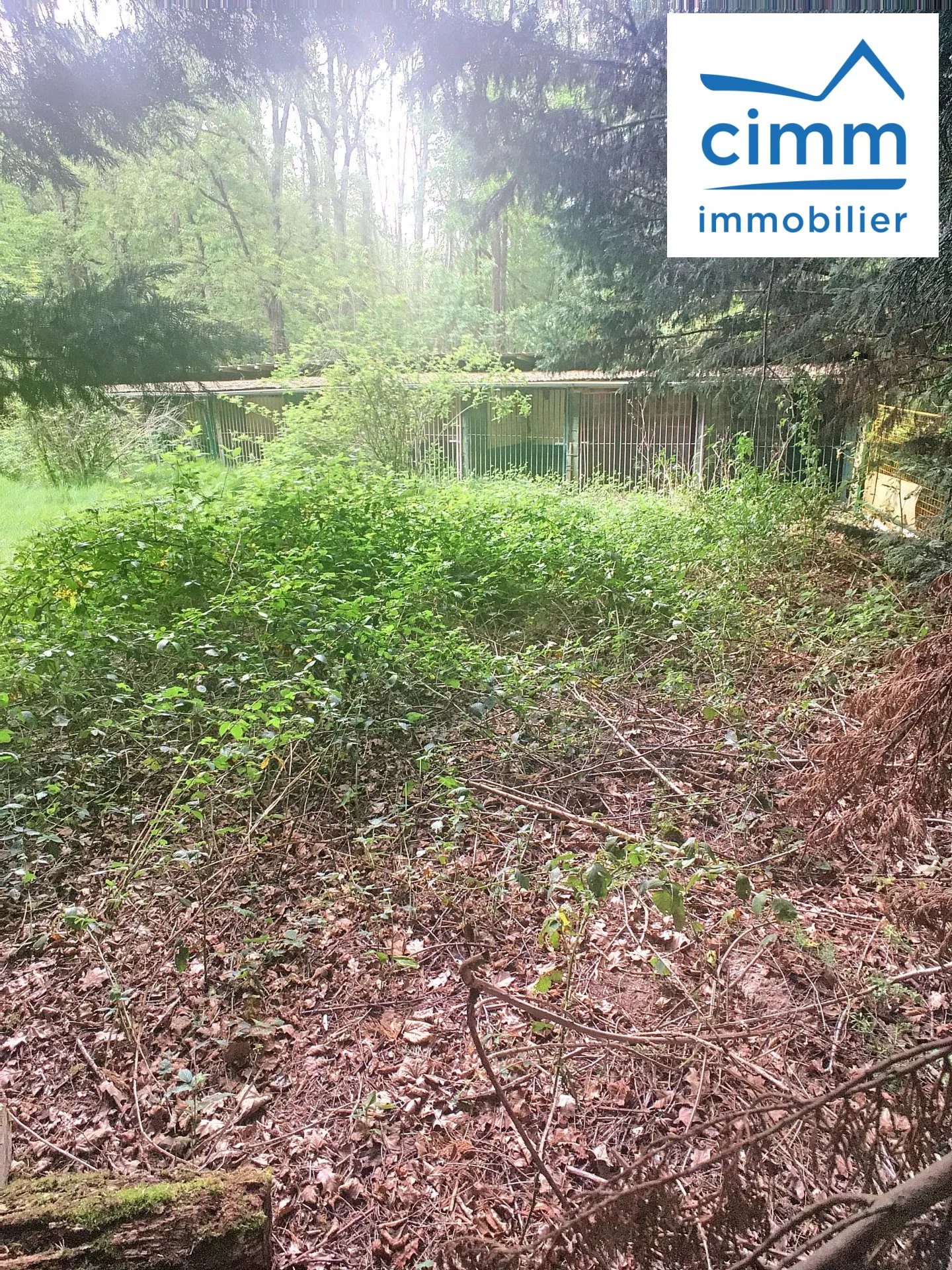 Terrain boisé à vendre à Pressigny-Les-Pins avec potentiel élevage et activités 
