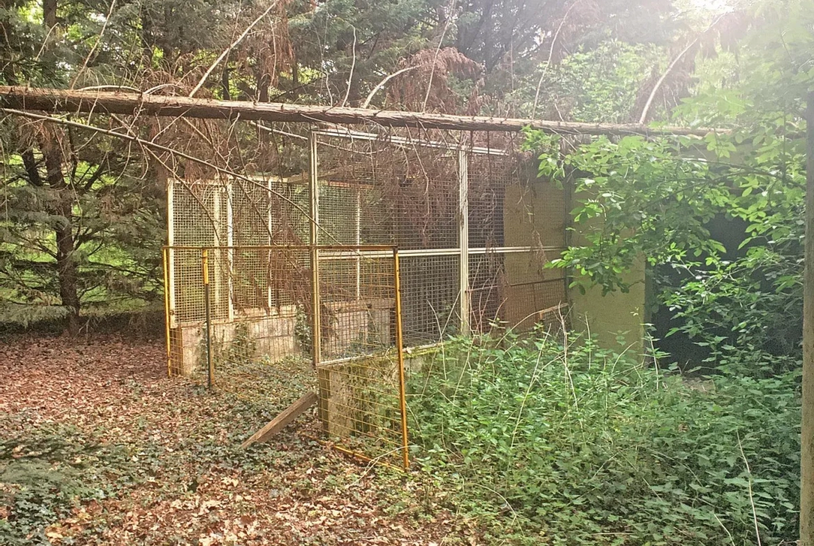 Terrain boisé à vendre à Pressigny-Les-Pins avec potentiel élevage et activités 
