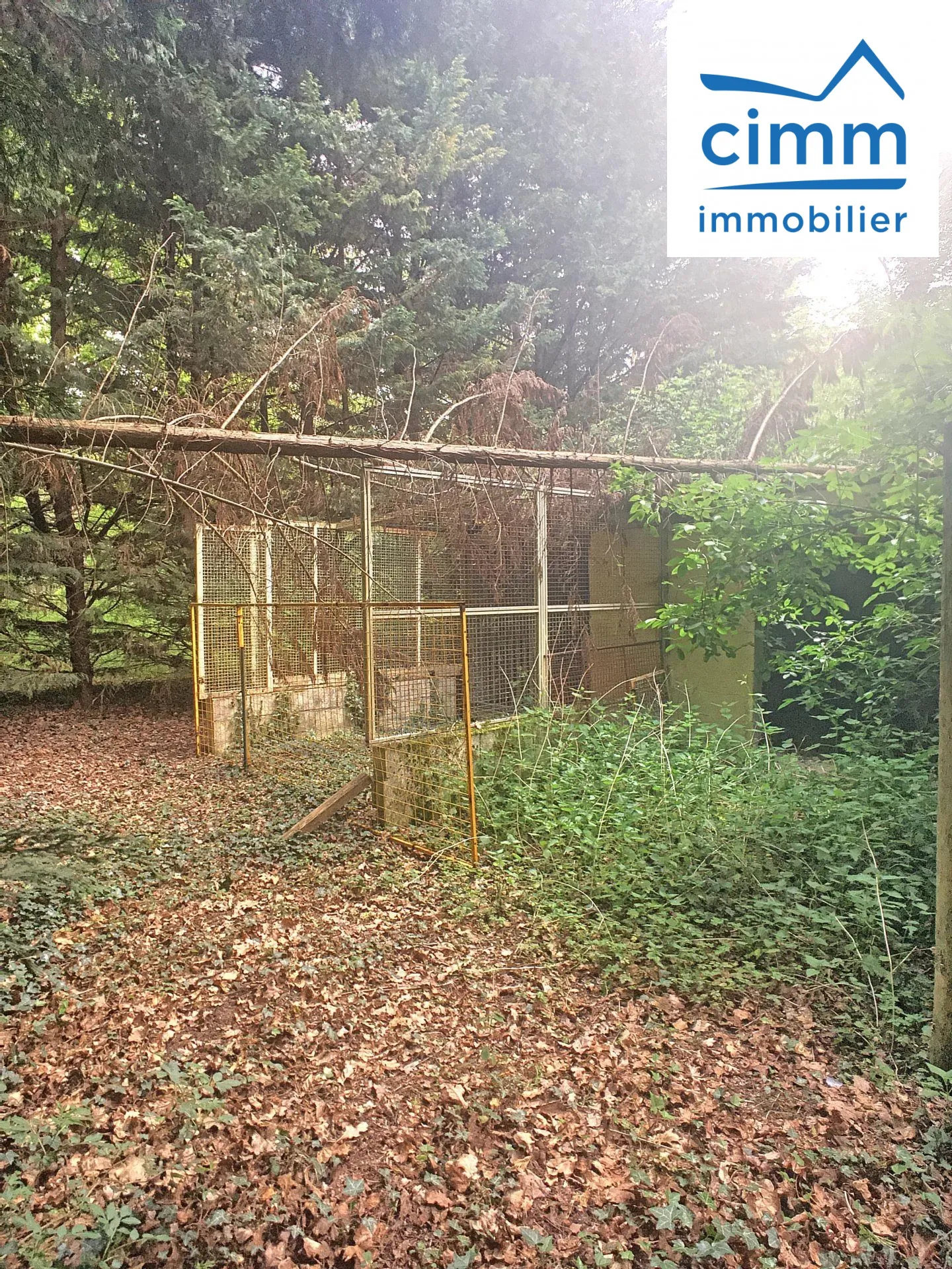 Terrain boisé à vendre à Pressigny-Les-Pins avec potentiel élevage et activités 