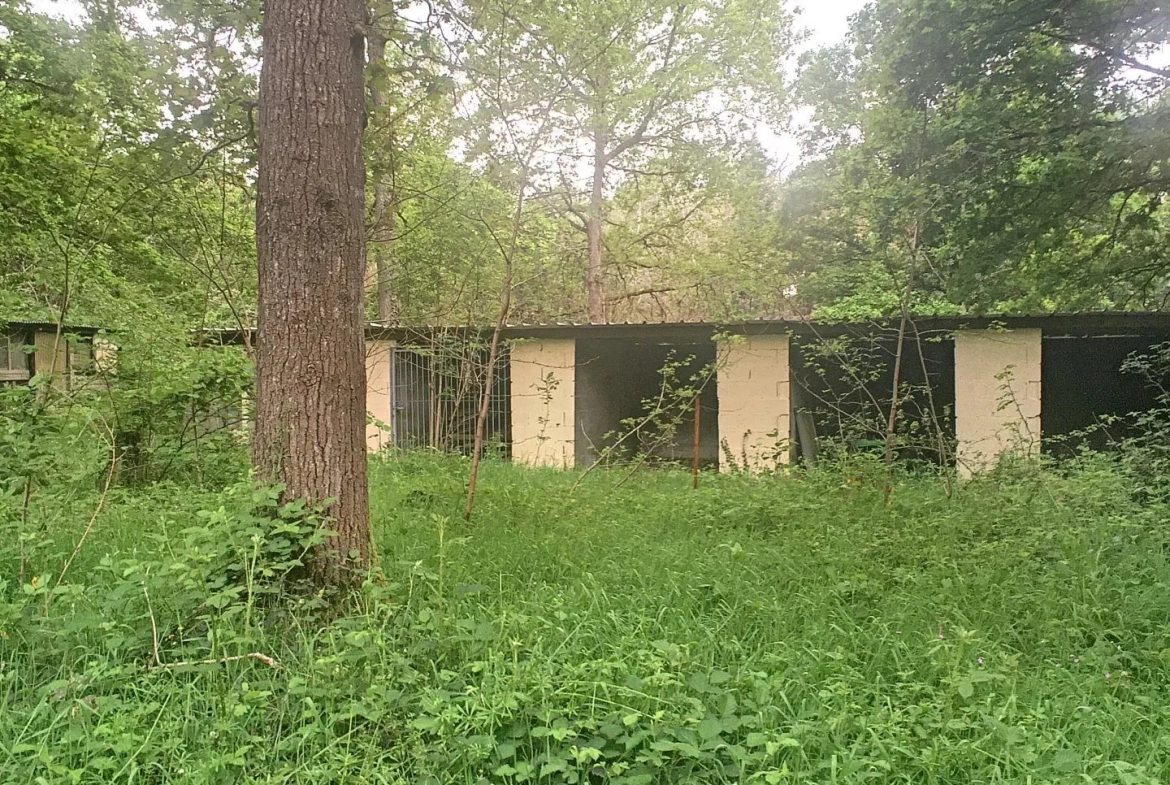 Terrain boisé à vendre à Pressigny-Les-Pins avec potentiel élevage et activités 