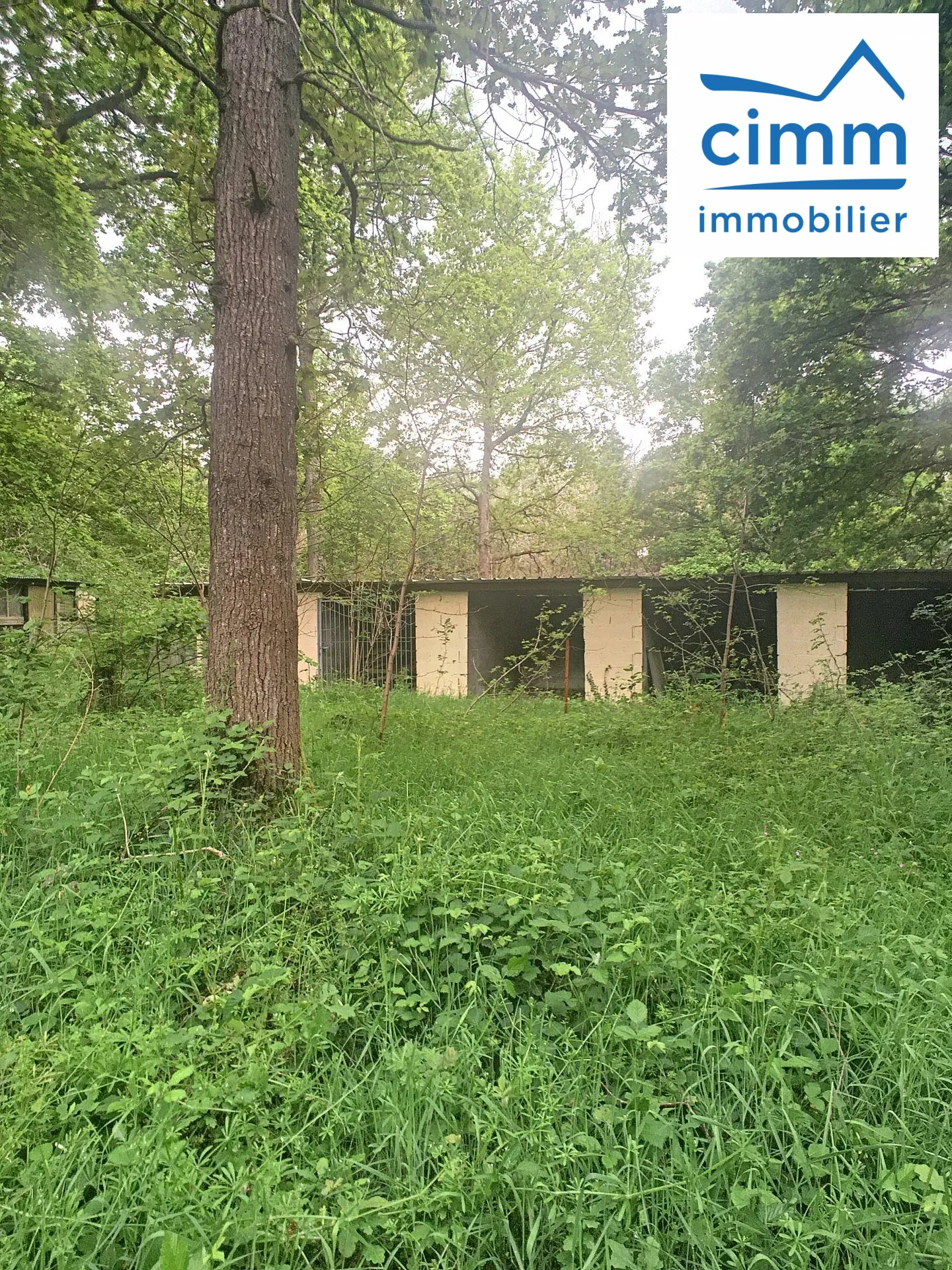 Terrain boisé à vendre à Pressigny-Les-Pins avec potentiel élevage et activités 