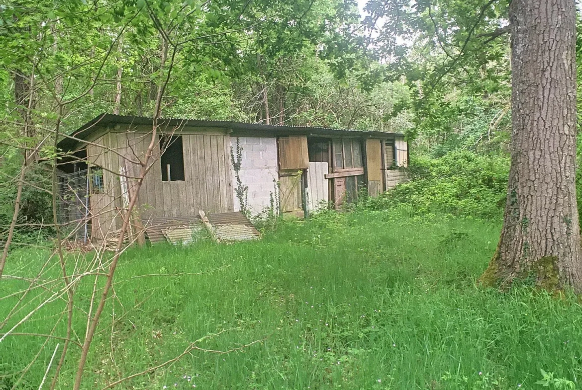 Terrain boisé à vendre à Pressigny-Les-Pins avec potentiel élevage et activités 