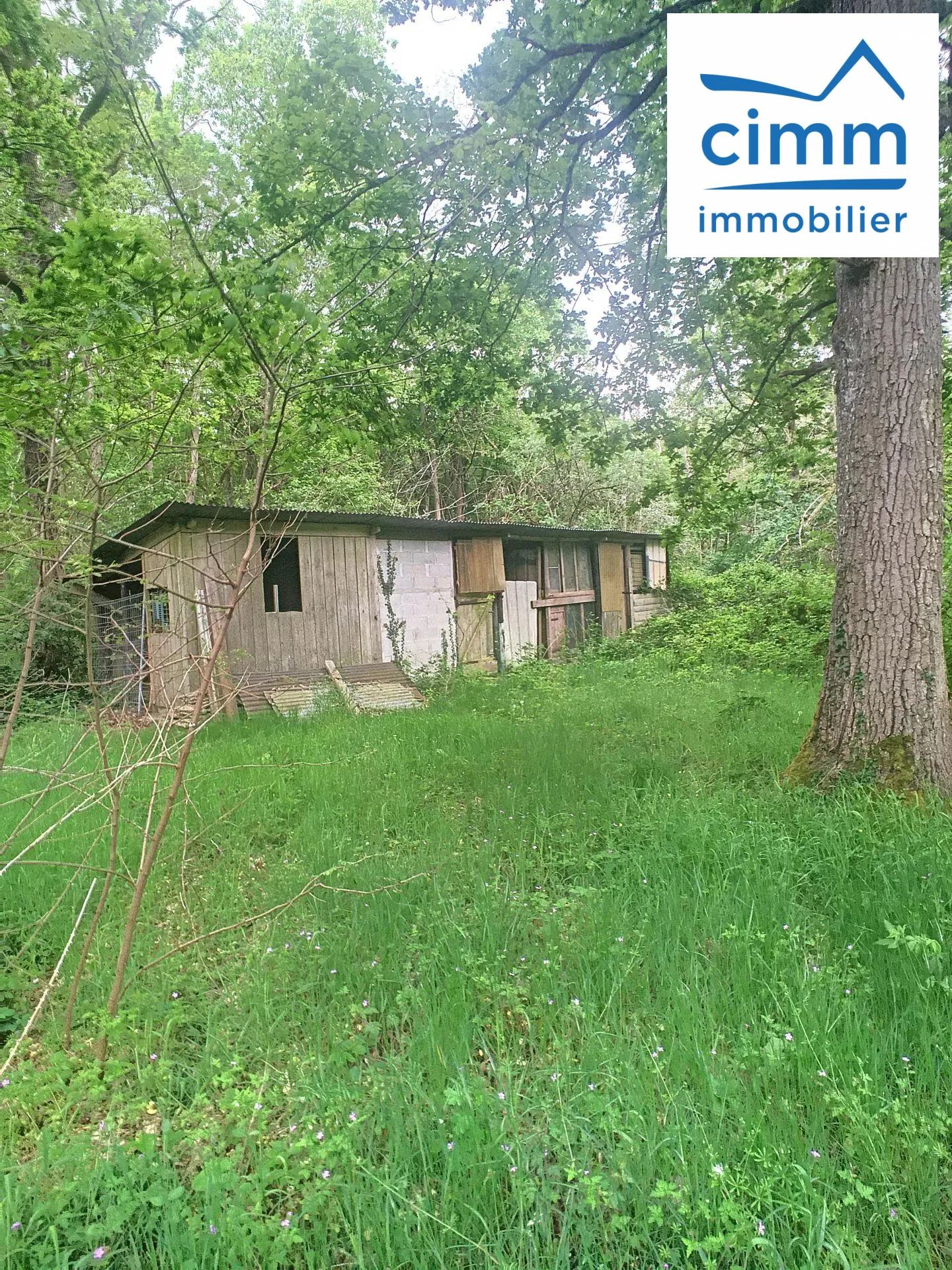 Terrain boisé à vendre à Pressigny-Les-Pins avec potentiel élevage et activités 