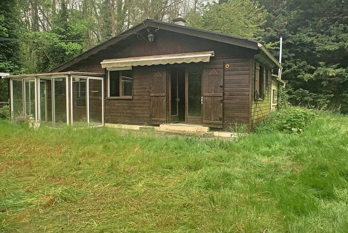 Terrain boisé à vendre à Pressigny-Les-Pins avec potentiel élevage et activités 