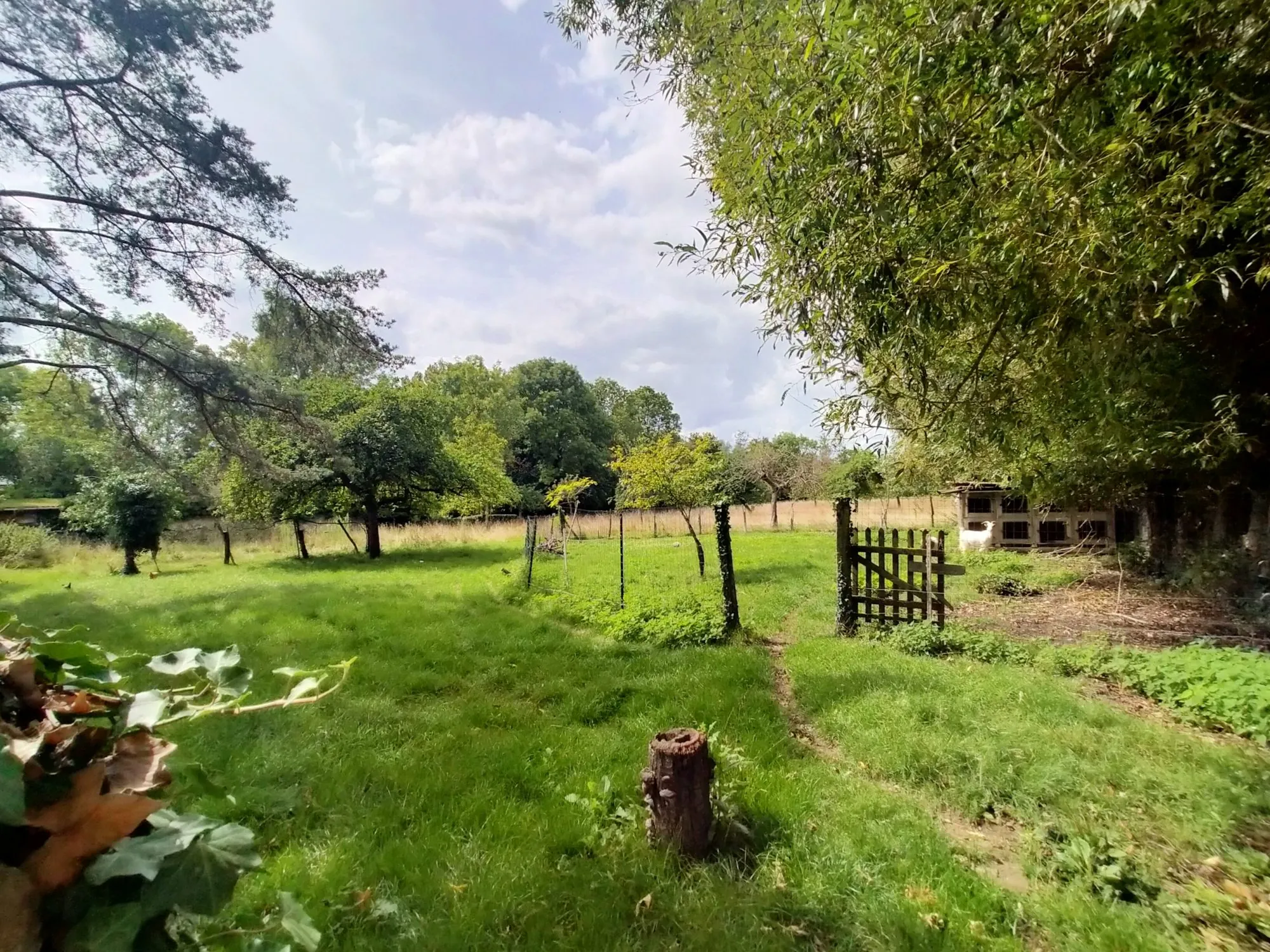Maison à rénover avec dépendance et grand terrain à Mézidon-Canon 