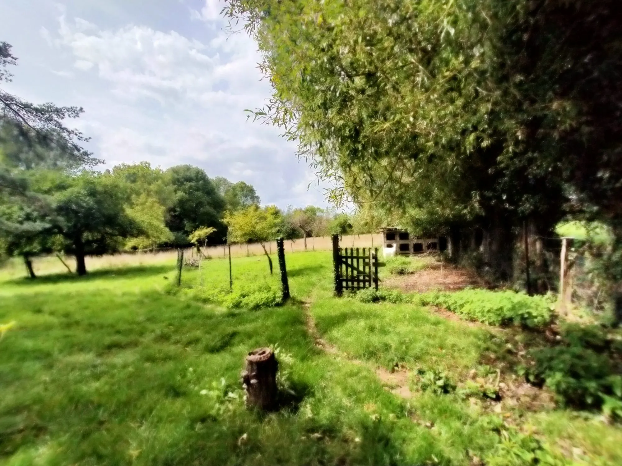 Maison à rénover avec dépendance et grand terrain à Mézidon-Canon 